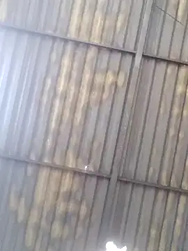 Linka998 online show from March 2026 04:40:01 AM