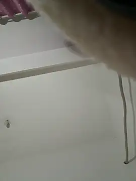 Snapshot of Chery_mup chatting on March 2026 05:51:02 PM Chery mup online show from March 2026 05:51:02 PM