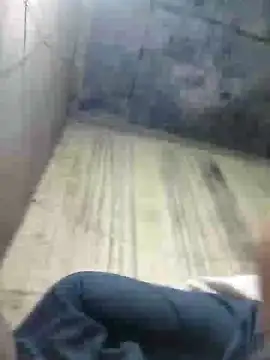 Loomaraj online show from March 2026 04:25:01 PM