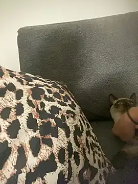 little dreamer  online show from March 2026 07:18:02 PM