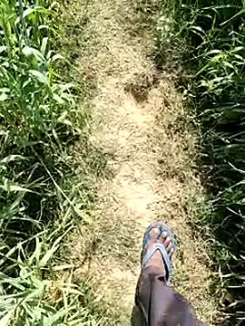 aryanvfit online show from February 2026 08:11:01 AM