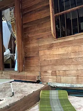 fairy bell online show from March 2026 05:36:01 AM