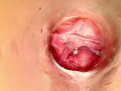 Snapshot of karol_kane chatting on February 2026 03:17:02 PM karol kane online show from February 2026 03:17:02 PM