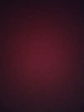 Snapshot of Regina_23 chatting on February 2026 12:07:01 AM Regina 23 online show from February 2026 12:07:01 AM