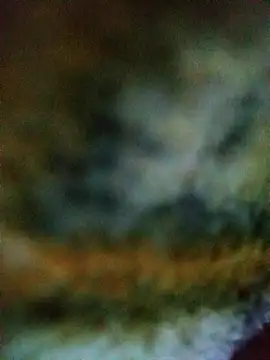 Avinh 09 online show from February 2026 04:31:01 AM