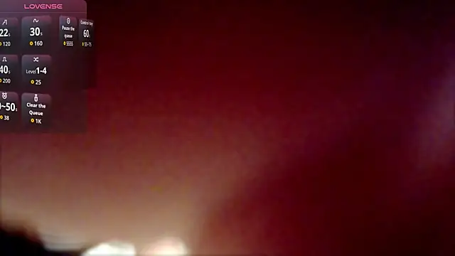 Snapshot of AestusFera chatting on February 2026 11:12:02 PM AestusFera online show from February 2026 11:12:02 PM
