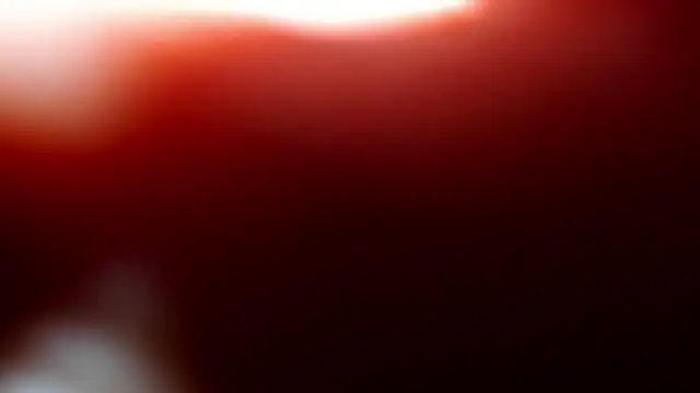 little  eva online show from May 2026 04:15:01 PM