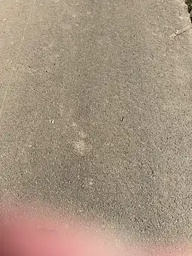 Snapshot of Marlon06_ chatting on April 2026 02:50:01 PM Marlon06 online show from April 2026 02:50:01 PM