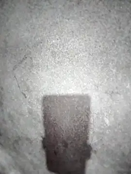 Snapshot of ngocbao11 chatting on March 2026 12:54:01 PM ngocbao11 online show from March 2026 12:54:01 PM