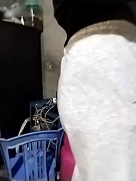 Snapshot of ngocbao11 chatting on March 2026 04:29:01 AM ngocbao11 online show from March 2026 04:29:01 AM