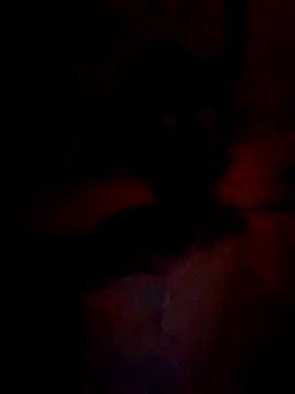 wifedesi7050 online show from March 2026 04:47:01 PM