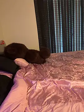 Snapshot of wavywavy12 chatting on April 2026 07:27:01 PM wavywavy12 online show from April 2026 07:27:01 PM