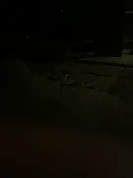 princessandthefootjob online show from March 2026 04:35:01 AM