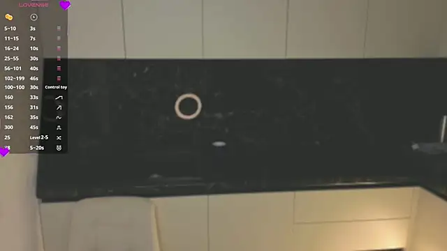 Snapshot of HinaVibe chatting on March 2026 01:06:02 PM HinaVibe online show from March 2026 01:06:02 PM