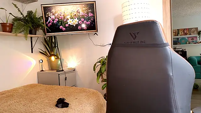 Sr evann online show from April 2026 01:36:02 PM