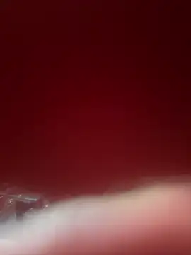 WhiteRose2020 online show from February 2026 06:55:02 AM