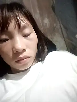 pic8800 online show from April 2026 05:30:01 PM