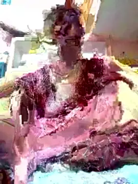 Poonam bhoji online show from April 2026 03:31:02 PM