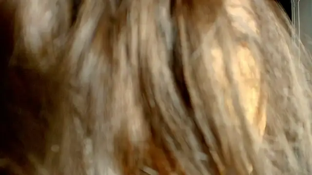 ambriosialove online show from March 2026 11:27:02 AM