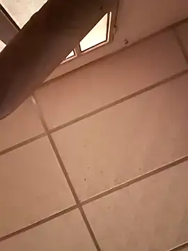 Snapshot of darwinmodell chatting on December 2024 04:52:01 PM darwinmodell online show from December 2024 04:52:01 PM