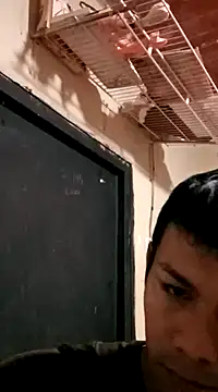 Snapshot of darwinmodell chatting on March 2025 03:56:01 PM darwinmodell online show from March 2025 03:56:01 PM