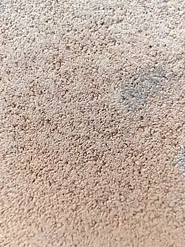 Snapshot of darwinmodell chatting on April 2026 01:24:01 PM darwinmodell online show from April 2026 01:24:01 PM