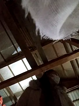 Snapshot of Heylen_hooo chatting on March 2026 02:32:02 PM Heylen hooo online show from March 2026 02:32:02 PM