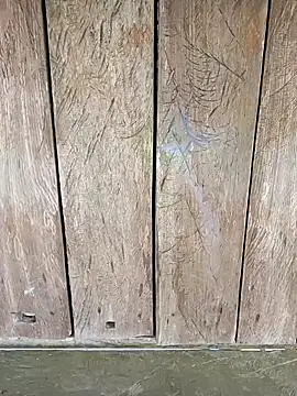 Snapshot of Heylen_hooo chatting on April 2026 01:41:02 AM Heylen hooo online show from April 2026 01:41:02 AM