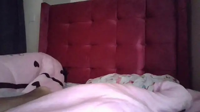 Snapshot of Babydika chatting on March 2026 06:24:02 AM Babydika online show from March 2026 06:24:02 AM