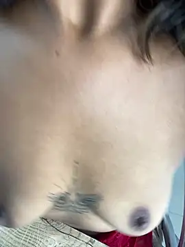 Naya Noir online show from March 2026 12:29:01 PM