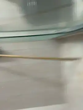 Snapshot of David-latinlover chatting on March 2026 10:43:02 PM David-latinlover online show from March 2026 10:43:02 PM