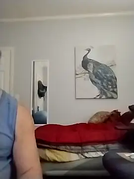 Snapshot of coestet chatting on May 2026 12:18:01 AM coestet online show from May 2026 12:18:01 AM