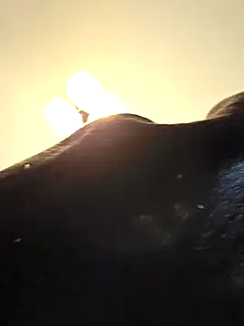 Snapshot of KinkyKittyBoy chatting on April 2026 06:10:01 PM KinkyKittyBoy online show from April 2026 06:10:01 PM