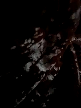 Snapshot of Couple_hot999 chatting on March 2026 02:56:01 PM Couple hot999 online show from March 2026 02:56:01 PM