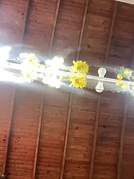 Snapshot of LiaTrainor chatting on April 2026 07:09:02 PM LiaTrainor online show from April 2026 07:09:02 PM