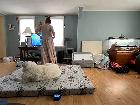 Snapshot of highimmaryjane chatting on March 2026 04:46:01 PM highimmaryjane online show from March 2026 04:46:01 PM