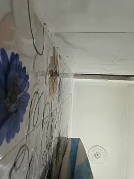 Snapshot of Itz_ishu chatting on April 2026 07:33:01 AM Itz ishu online show from April 2026 07:33:01 AM