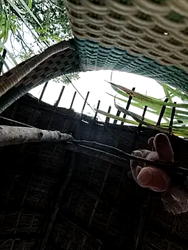 Tini-mimi online show from July 2026 01:43:02 AM