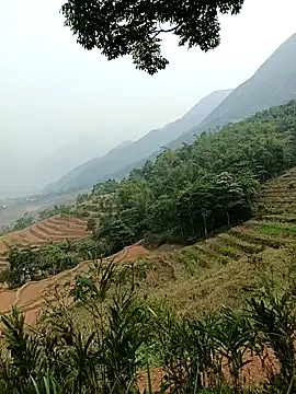 Snapshot of Yuhi3d chatting on April 2026 03:45:01 AM Yuhi3d online show from April 2026 03:45:01 AM