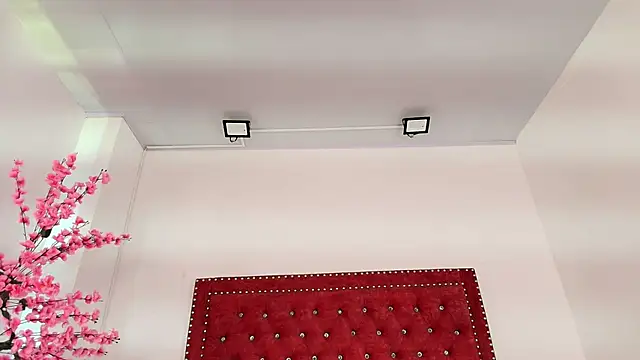 Snapshot of Daphne_glas chatting on April 2026 01:41:01 PM Daphne glas online show from April 2026 01:41:01 PM