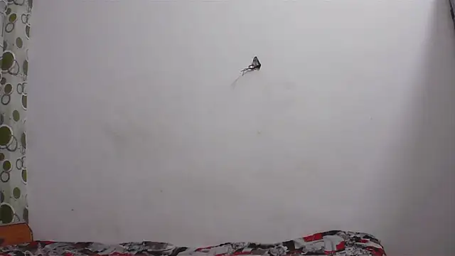 Snapshot of hard_to_do__ chatting on April 2026 05:17:01 PM hard to do online show from April 2026 05:17:01 PM