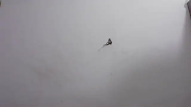 Snapshot of hard_to_do__ chatting on April 2026 06:16:02 AM hard to do online show from April 2026 06:16:02 AM