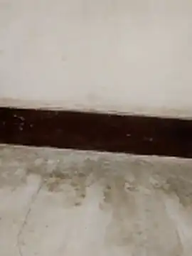 Snapshot of Student_girl00 chatting on March 2026 05:02:02 AM Student girl00 online show from March 2026 05:02:02 AM