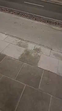 Snapshot of PublicMarekFlashDick chatting on March 2026 05:52:01 PM PublicMarekFlashDick online show from March 2026 05:52:01 PM