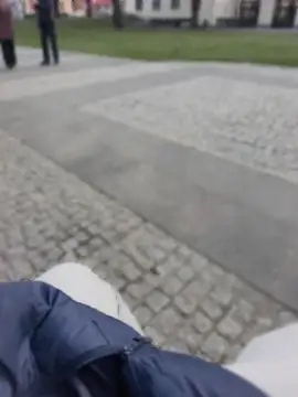 Snapshot of PublicMarekFlashDick chatting on March 2026 02:38:01 PM PublicMarekFlashDick online show from March 2026 02:38:01 PM