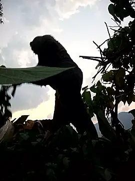 Snapshot of Bling-pusy chatting on April 2026 11:32:01 AM Bling-pusy online show from April 2026 11:32:01 AM