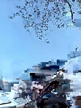 Snapshot of Yellow-pink chatting on April 2026 10:20:02 AM Yellow-pink online show from April 2026 10:20:02 AM