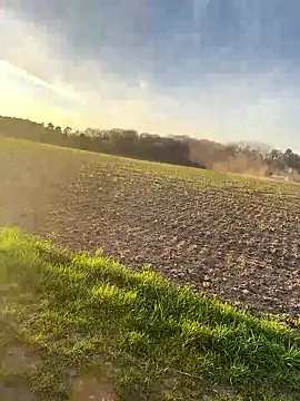 Snapshot of SoftAmjad chatting on April 2026 05:46:02 PM SoftAmjad online show from April 2026 05:46:02 PM