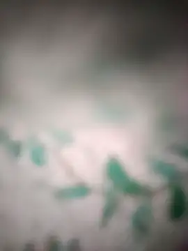 Snapshot of King_night1 chatting on March 2026 10:05:01 PM King night1 online show from March 2026 10:05:01 PM