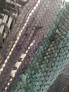 Snapshot of King_night1 chatting on April 2026 01:21:01 AM King night1 online show from April 2026 01:21:01 AM